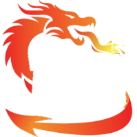 Firewalls Don't Stop Dragons Logo